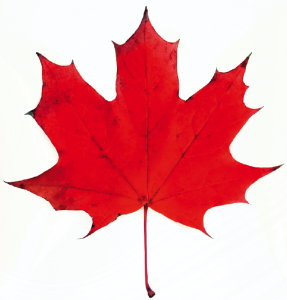 Canada Leaf